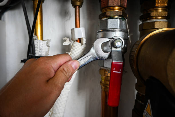 Best Water Leak Repair  in Roseland, FL